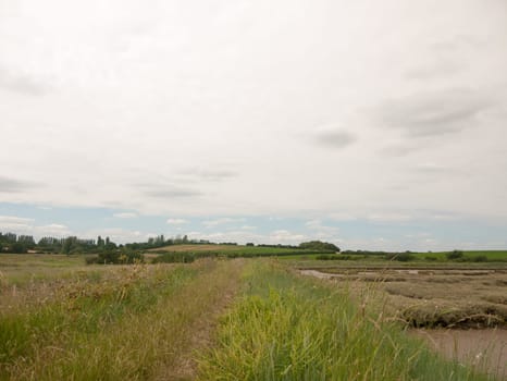 inland country scene in harwich felixstowe essex uk england no people farm
