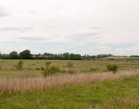 inland country scene in harwich felixstowe essex uk england no people farm