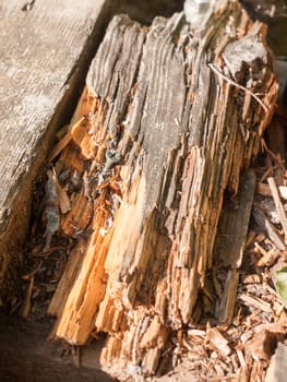 broken bit of wooden pontoon close up texture uk
