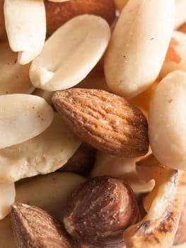 various nuts close up to eat round hazel almond