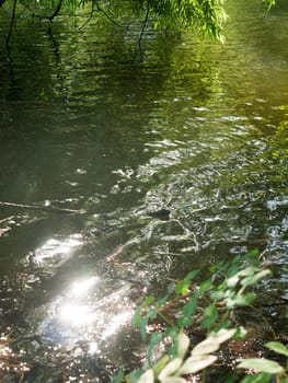 water surface with shining reflected light close up lake