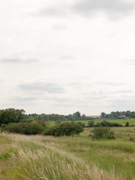 countryside scene no people empty animals farm harwich felixstowe essex england uk