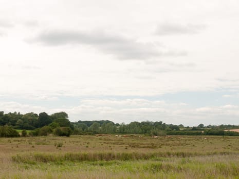 inland country scene in harwich felixstowe essex uk england no people farm