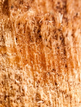 warm and orange brown wood surface texture close up