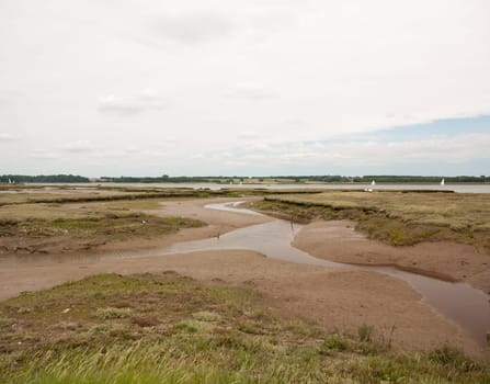 mud flats stream at sea side coast edge no people seagulls