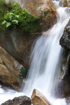 An image of moss growing on a rock next to a local waterfall in the Santa Cruz mountain in California.