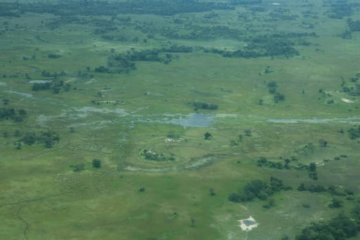 African savannah summer pictrures wild safari Tanzania Rwanda Botswana Kenya