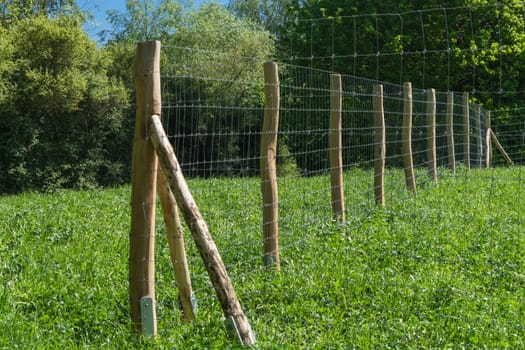 Fence from a pasture for horses or cows.