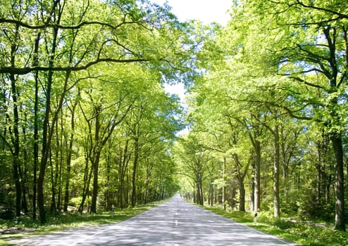 free lane on a country road in northern Germany