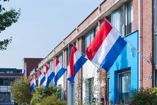 residential neighborhood with dutch flags hanging outside during a national holiday