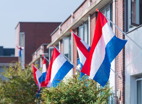 residential neighborhood with dutch flags hanging outside during a national holiday