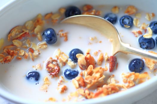 Bowl of granola with milk and fresh blueberries