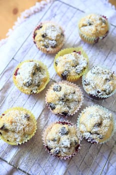 Blueberry muffins, just out of the oven, sprinkled with powdered sugar