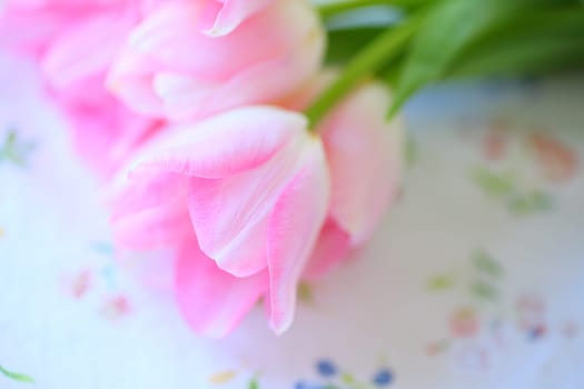 Pale pink tulips on a floral fabric print