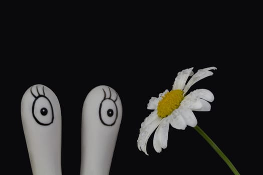 Snail eyes admire the beautiful white flower.