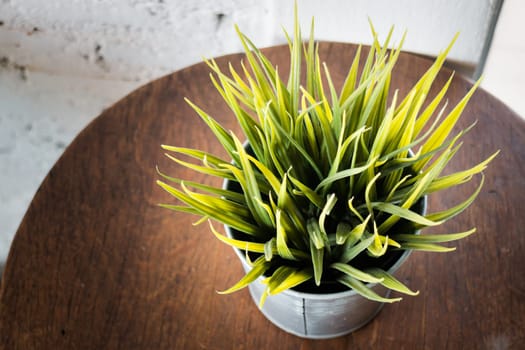 Artificial plastic plant leaves vase, stock photo
