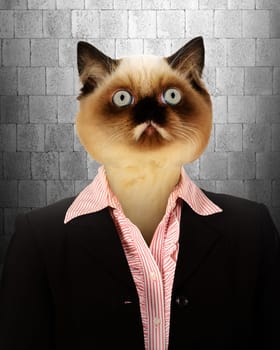 Business woman with cat head. Business people concept