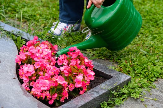 Woman watering flowers with a watering can at the grave in a cemetery