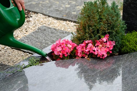 Hand does watering flowers at the grave in the cemetery