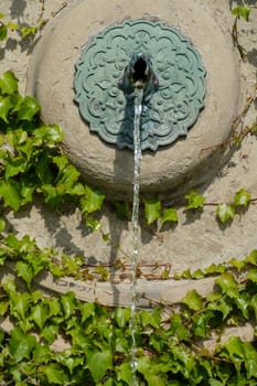 Historic fountain with onraments and water surrounded by ivy