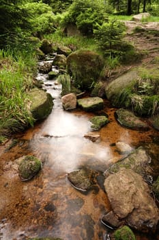 Mountain stream near Schierke at the foot of the Brocken in the Harz National Park
