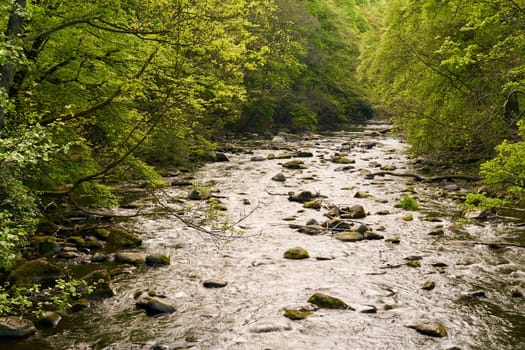The river Bode near Thale in the Harz National Park
