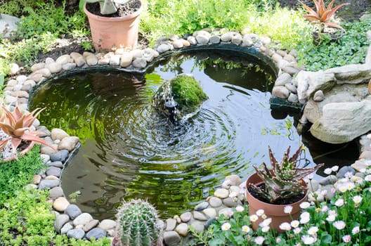 Garden pond with fountain