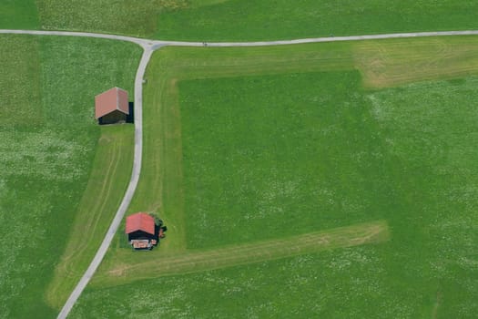 Aerial view of the green alpine meadow with flowers in the Allgäu near Oberstdorf