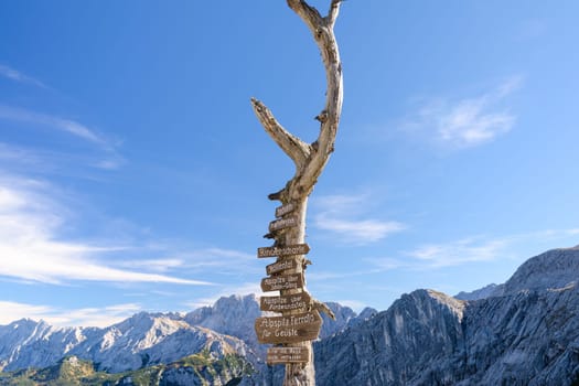 Wooden signpost with route arrows on dry tree in German Bavarian Alps mountains on Alpspitze peak