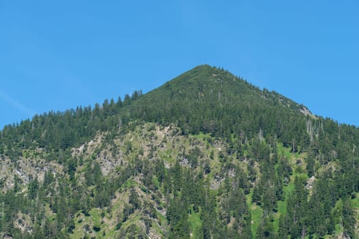 Schattenberg near Oberstdorf in the Allgäu in summer with blue skies