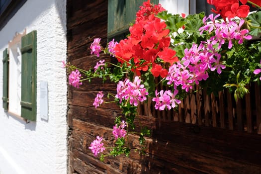 Geraniums with flower red and pink on a window and house with wooden façade