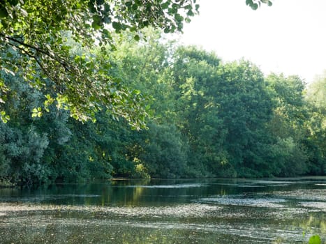 light reflected in the water surface of lake  Suffolk  UK