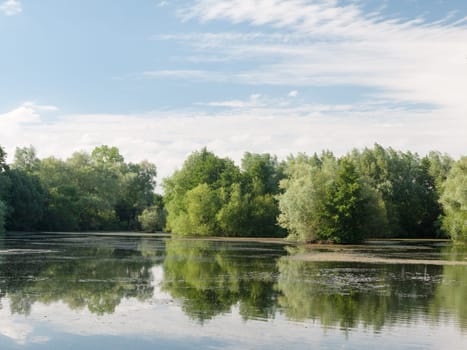 Stunning a summer lake side view with trees, clouds, algae, and reflections  Suffolk  UK