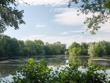 a summer lake side view with trees, clouds, algae, and reflections  Suffolk  UK