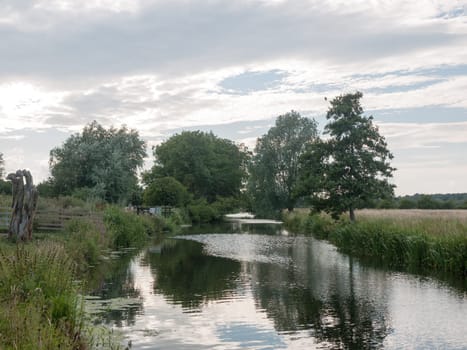 several oak trees reflected in the running river in sun  Suffolk  UK