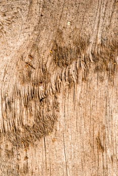 old board