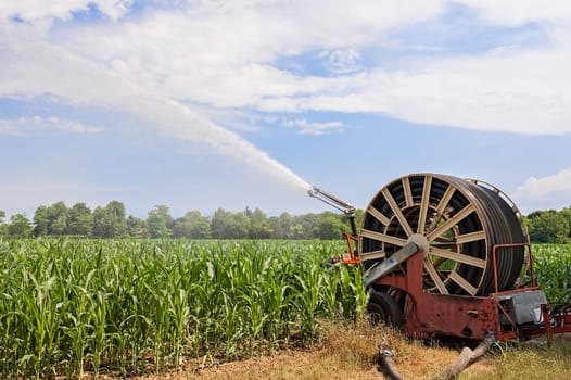 Agricultural equipment. Equipment pumping water on field of corn.Water sprinkler