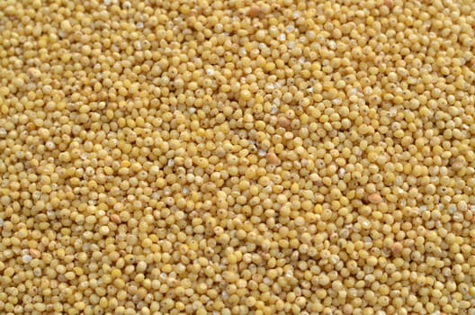 Millet