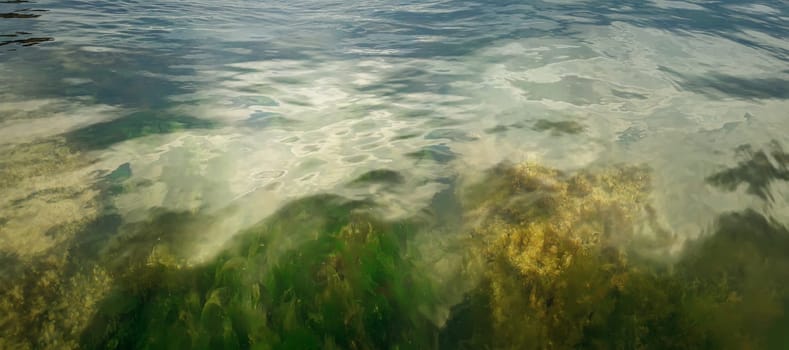 Underwater texture with the light on a rocky seafloor with stone pieces and moss