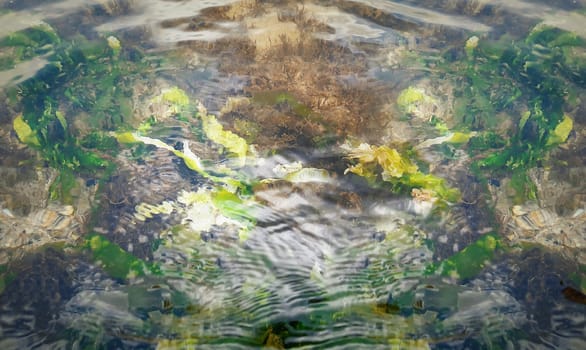 Underwater texture with the light on a sandy seafloor with grass and algae