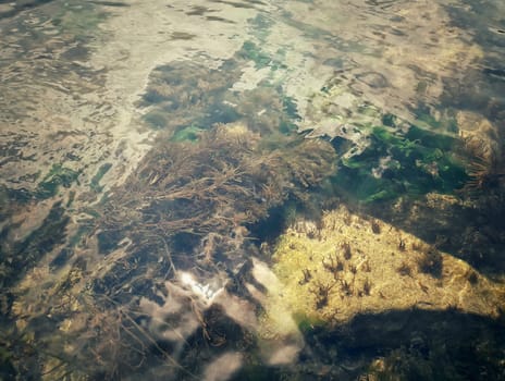 Underwater texture with the light on the seafloor with seaweed