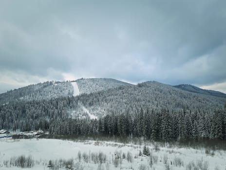Winter landscape with fir trees in the snow in the mountains. Beautiful view in the wild, Carpathians, Ukraine.