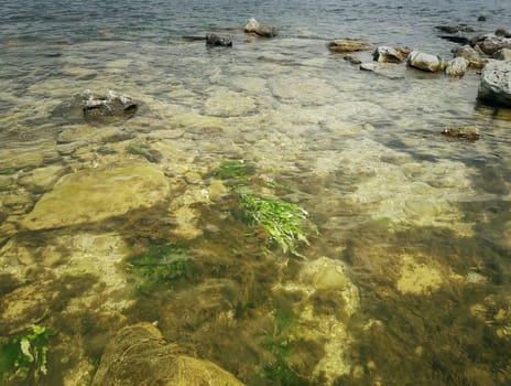 Underwater texture of a rocky seafloor with stone pieces and seaweed