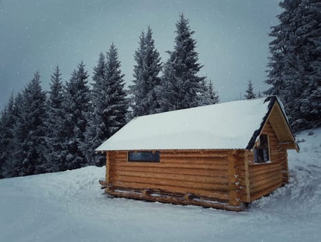 Wooden cabin in the forest covered by snow. Carpathian mountains, Ukraine