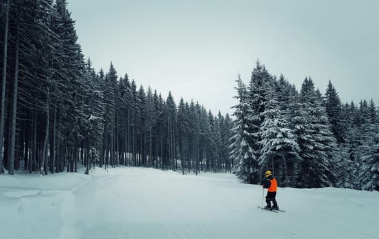 Little boy skiing in the mount on a slope between the fir forest. Active teenager kid with safety helmet goggles and poles. Ski race for young children. Winter sport for family.