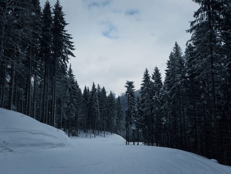 Winter landscape with snow drifts and a a ski slope in a mountain forest. Bukovel, Carpathians, Ukraine.