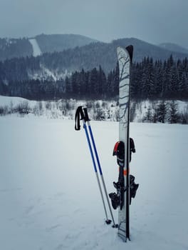 Ski winter season in the mountains, equipment for the ski run in the snow and the fir forest hill background.