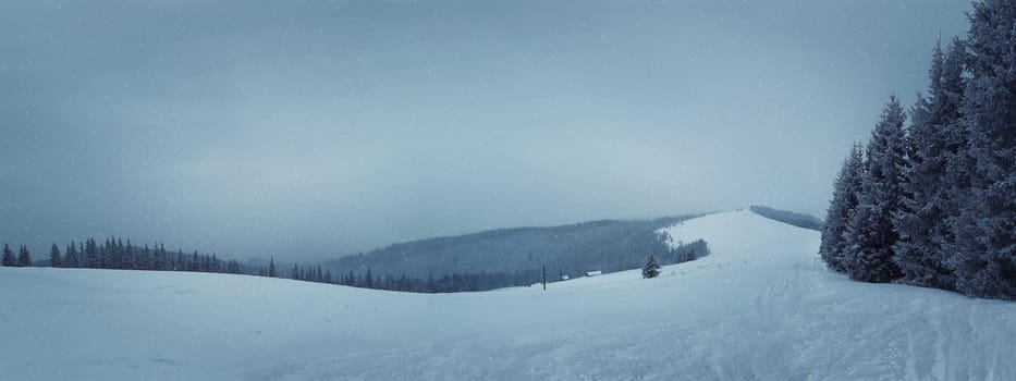 Snowy winter panorama with fir tree and mountain slope.