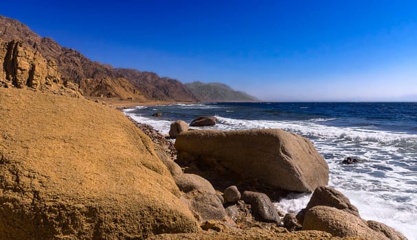 Wild Coast Southeast Sinai