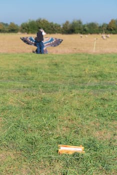 bird shaped kite and a piece of rope
